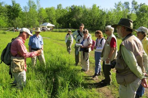 Dale Kristensen explains the identifying features of a sedge to a group of Bioblitz participants